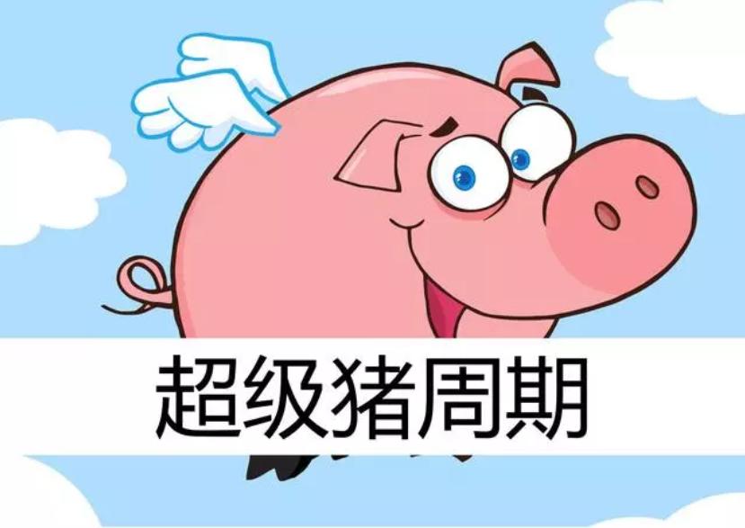 2019年下半年豬價(jià)預(yù)測(cè)：7、9月兩次大漲，第四季度將達(dá)到頂峰